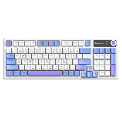 Spanish Mechanical Keyboard Spanish Russian Arabic Korean Thai Gaming Keyboard 95 Key Layout Backlight Type C With Numpad SK15