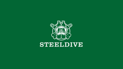 STEELDIVE SD1954 Black Dial 41MM Stainless Steel NH35 Automatic Movement What Ghost Mens 300M Dive Watch  Sapphire Glass