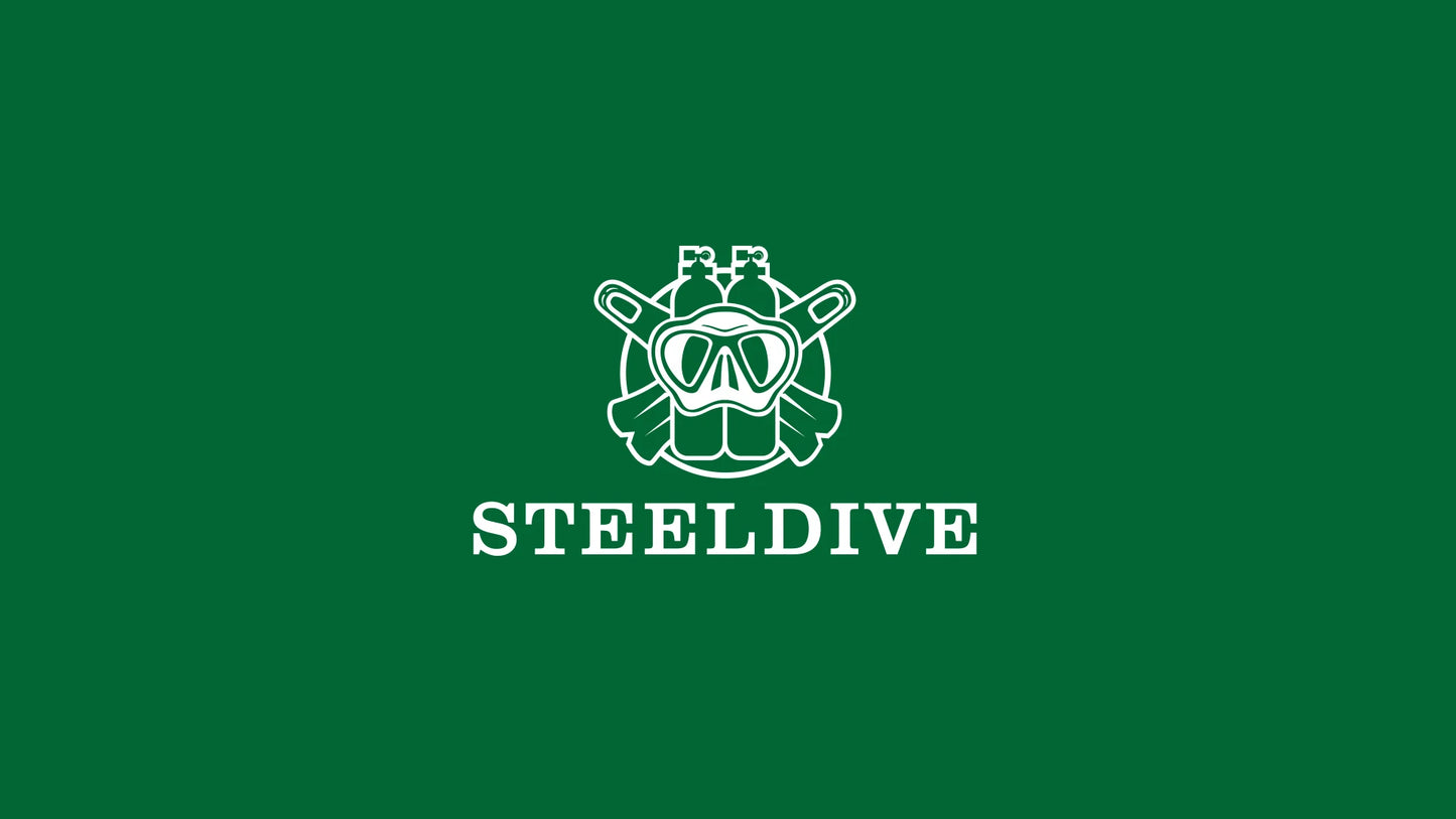 STEELDIVE SD1973 Men's Dive Watch NH35 Automatic Mechanical Men's Watch Luminous Ceramic Bezel Diver watch men watches Sapphire