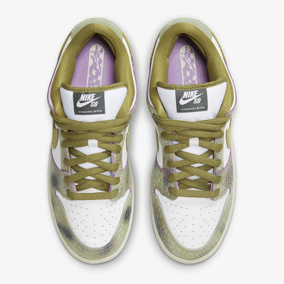 Chaussures de skate légères Nike SB Dunk Low Pro unisexe authentiques HJ3386-300