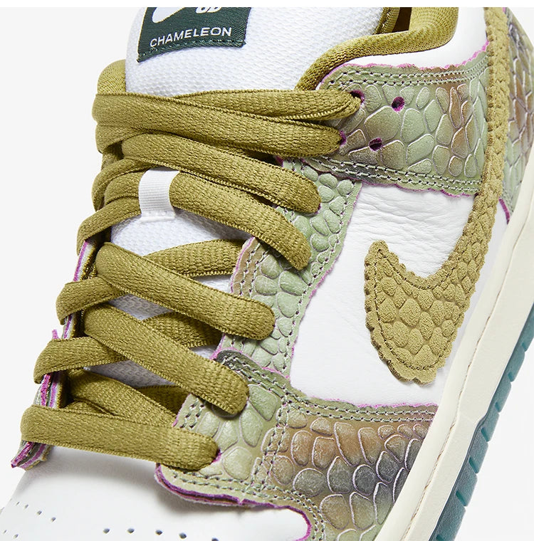 Chaussures de skate légères Nike SB Dunk Low Pro unisexe authentiques HJ3386-300