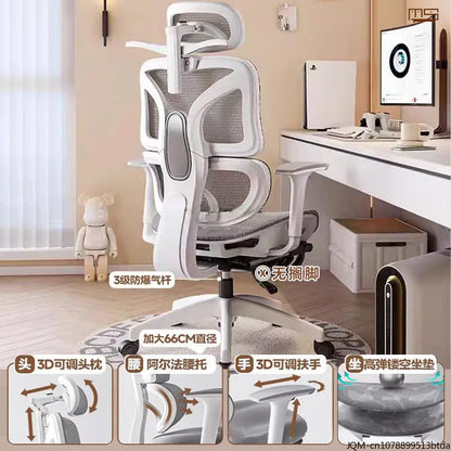 Comfortable Ergonomic Study Chair, Waist Support for Long Periods of Sitting, Lift Chair, Home Computer Swivel Office Chair