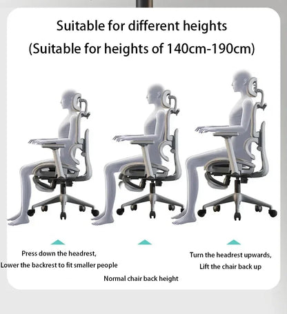 Electronic Gaming Computer Chair Adjustable Ergonomic Seat Back Support, Free Delivery Sedia Office Chair Wheelchair Furniture