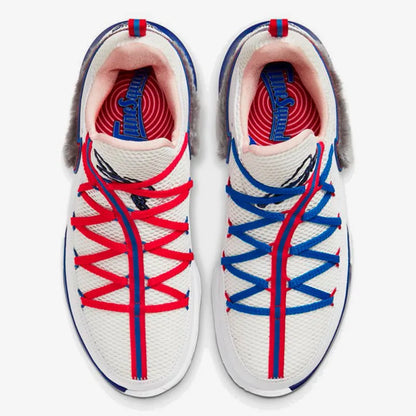 Scarpe da basket Nike Genuine LeBron Low EP James CD5006-100