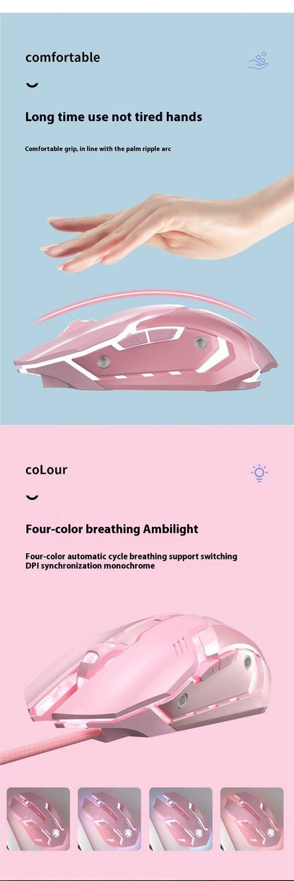Frontline Pink Gaming Mouse Wireless Bluetooth Silent Mechanical Gaming Mouse, Cute RGB Computer Mouse for Gaming, Office & Laptop