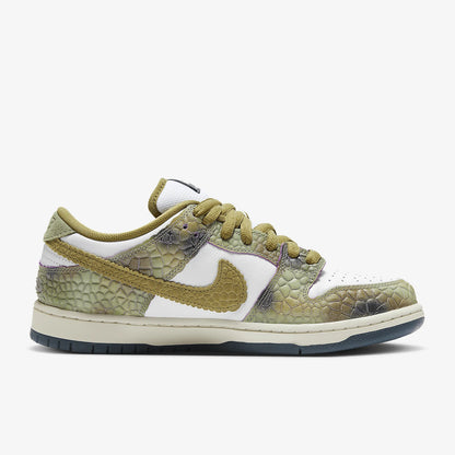 Chaussures de skate légères Nike SB Dunk Low Pro unisexe authentiques HJ3386-300