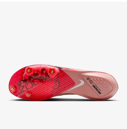 Nike Genuine Victory 2 Men's Low cut Cushion Training Running Shoes HQ2059-600