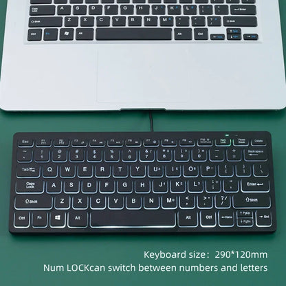 APAYADO K1000 Teclado mini con cable - Diseño compacto y portátil, Plug-and-Play, ideal para portátiles/ordenadores, resistente a derrames