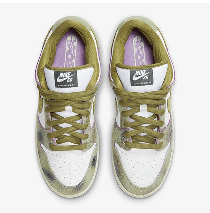Chaussures de skate légères Nike SB Dunk Low Pro unisexe authentiques HJ3386-300