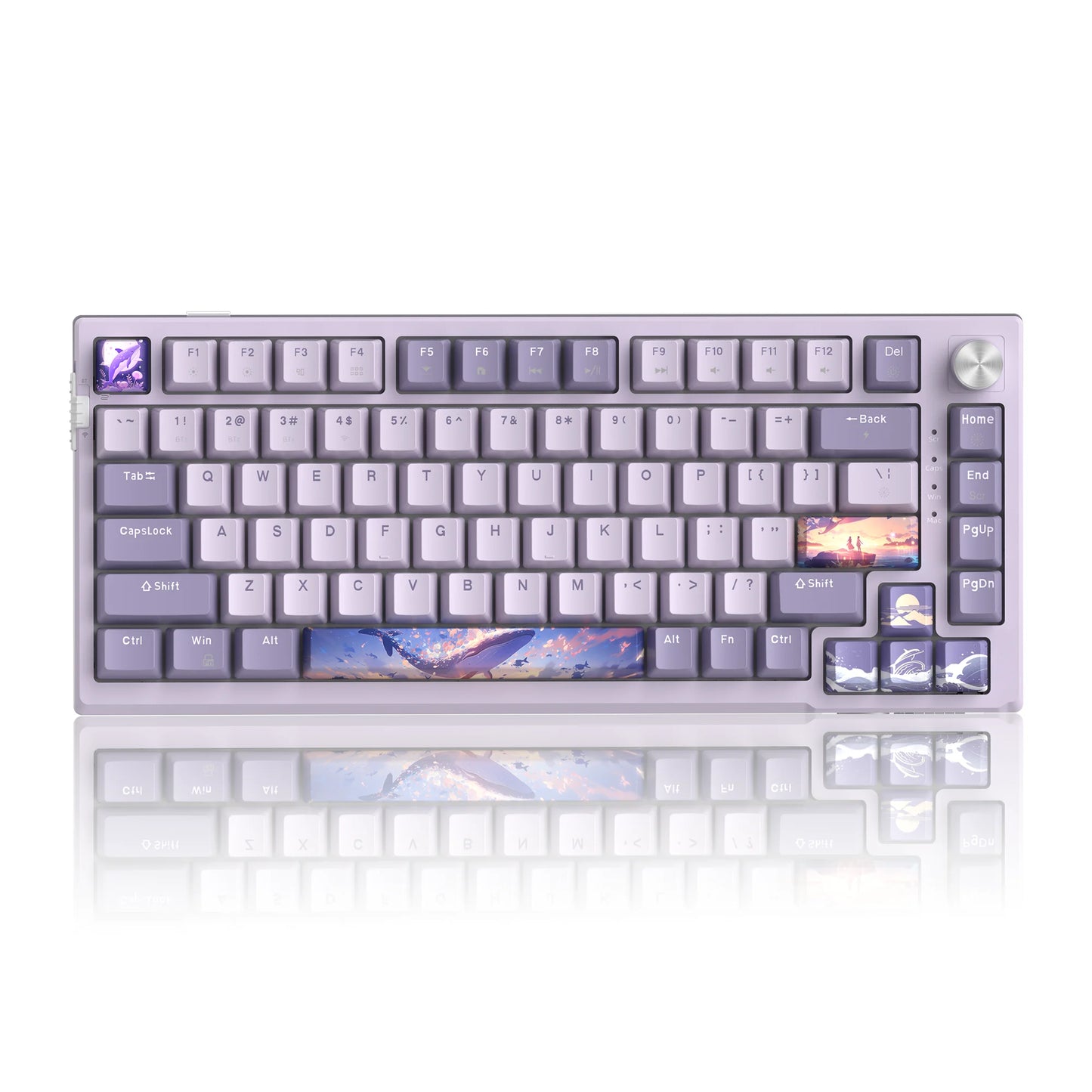 MageGee SKY81 75% Mechanical Gaming Keyboard, RGB Gasket Hot Swappable Wired Custom Creamy Sound Dampening Keyboard with Knob