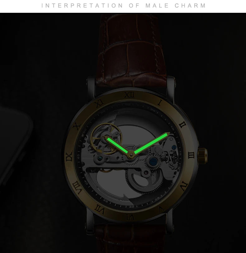 Watch Men Automatic Watch Luxury Watch Man Mechanical Wristwatch Skeleton Design Waterproof Leather Strap Male Watch Reloj Hombr