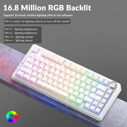 AULA F75 Pro kabellose mechanische Gaming-Tastatur mit Gasket-Mount, RGB, anpassbar, 75-%-Layout und seitlich gravierten PBT-Tastenkappen