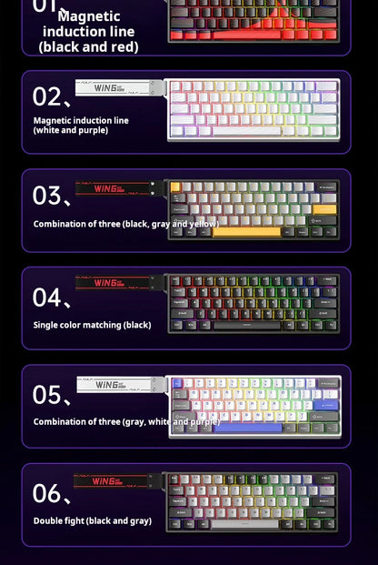 AULA WIN60 HE kabelgebundene Magnetachsen-Tastatur RT Custom mechanische Tastatur für E-Sports-Games mit 8K Polling-Rate
