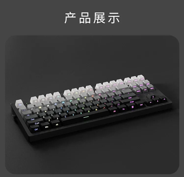 2025 Original Daylight PBT Translucent Keycaps Set – 136 OEM Side-Engraved Keycaps for 60/84/98/108 Mechanical Keyboards, MX Switch Compatible