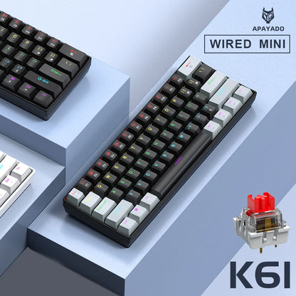 APAYADO K61 60% mini laidinė mechaninė žaidimų klaviatūra Phantom RGB, 61 klavišas, raudoni / mėlyni jungikliai, ergonomiška, nešiojama, skirta PC / nešiojamajam kompiuteriui