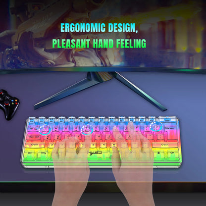 HXSJ 60% kabelgebundene transparente Gaming-Tastatur, RGB-beleuchtet, ultrakompakte wasserdichte kleine Kompakttastatur mit 61 Tasten für PC/Mac