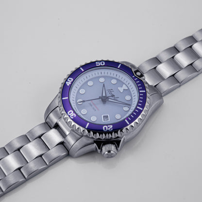Horolo Women' Watches Japan Solar Movement 30mm Luminous Water Resistant Sapphire stainless steel Luxury Watch Gift For Wife