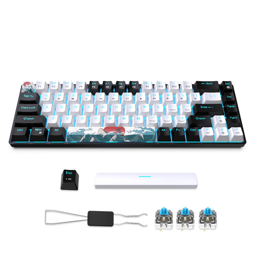 Mechanical Gaming Keyboard 68 Keys, Blue Switches & Multi-colored, Detachable Type-C Mini Gaming Keyboard
